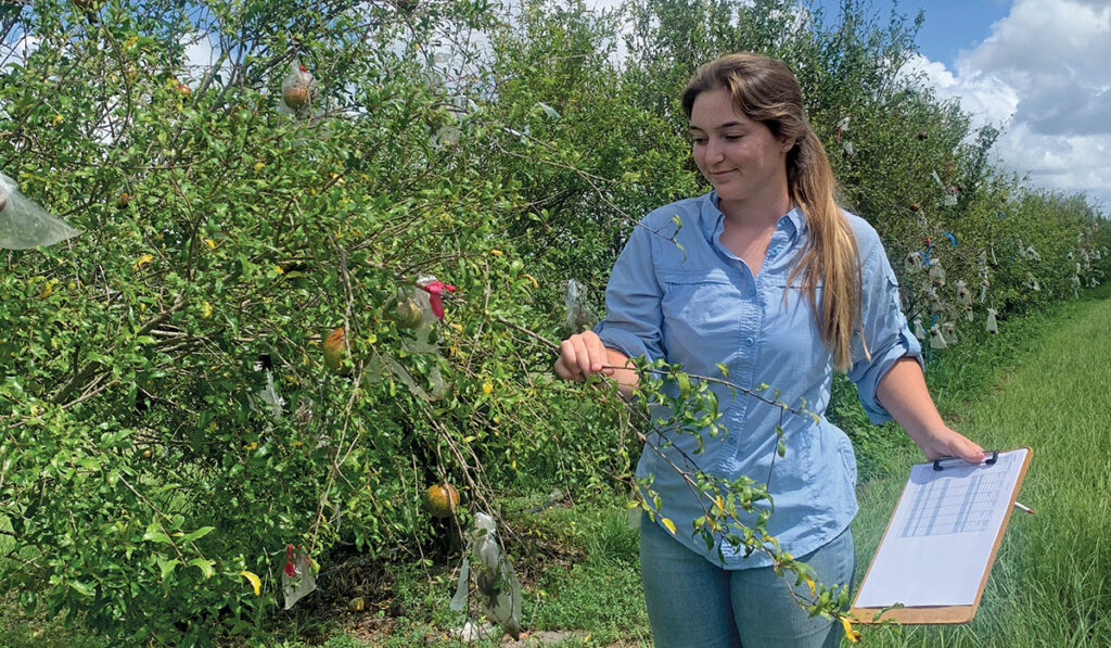Planting the Seed: How a summer internship inspired one student’s career plans