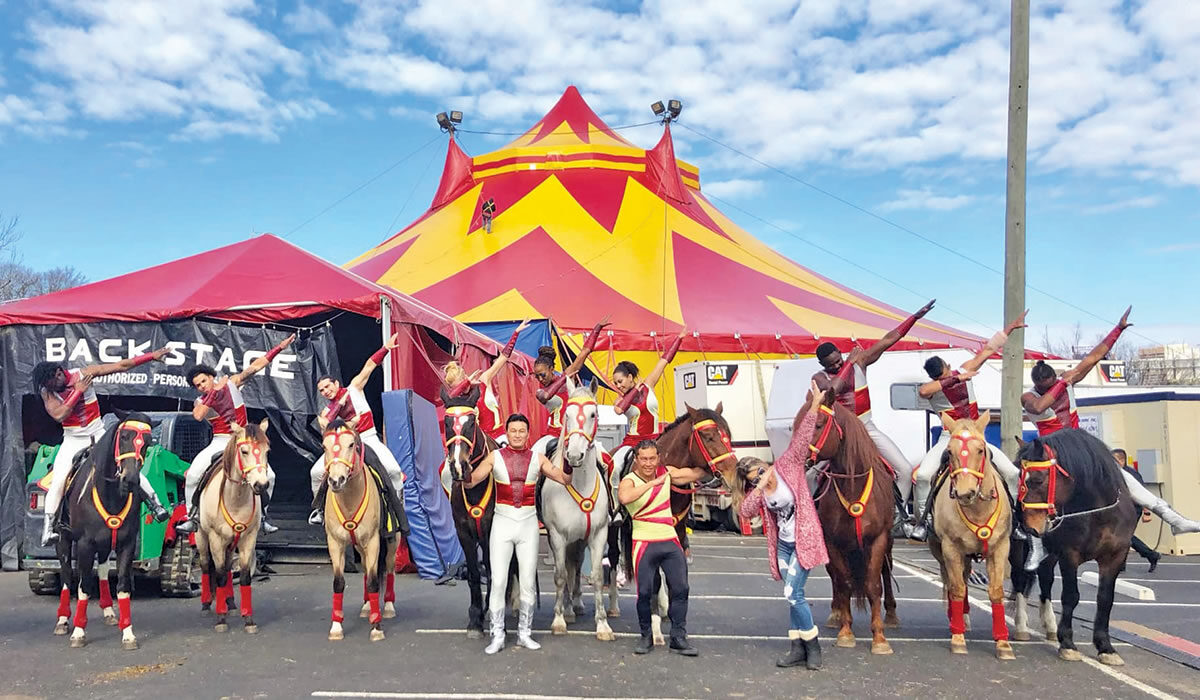 Run Away and Join the Circus